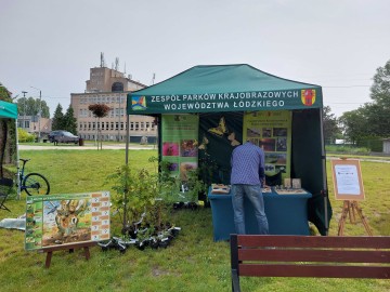 25 lat Fundacji Dziecięcy Uśmiech, 