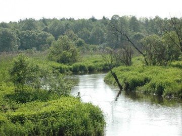 Rawka w okolicy Ziemiar