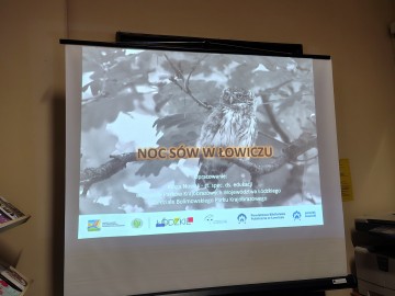 Noc Sów w Łowiczu - relacja, 