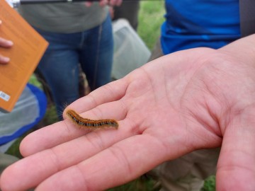 Szkolenie Motyle ZPKWŁ 2025, 