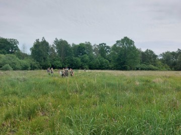 Szkolenie Motyle ZPKWŁ 2025, 