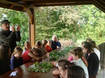 Szkolenie z rozpoznawania liści w Przedborskim Parku Krajobrazowym, 