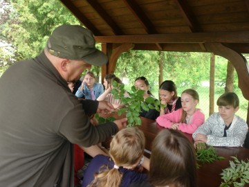 Szkolenie z rozpoznawania liści w Przedborskim Parku Krajobrazowym, 