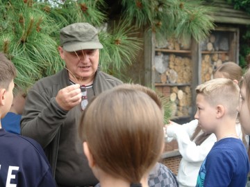 Szkolenie z rozpoznawania liści w Przedborskim Parku Krajobrazowym, 
