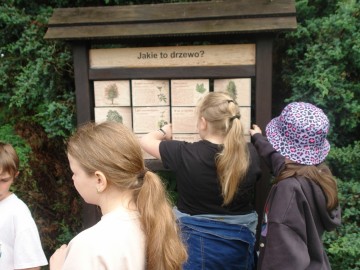 Szkolenie z rozpoznawania liści w Przedborskim Parku Krajobrazowym, 