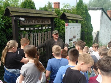 Szkolenie z rozpoznawania liści w Przedborskim Parku Krajobrazowym, 