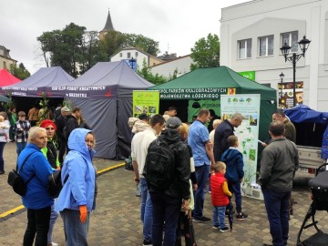 Święto Plonów w Przedborzu – Relacja z Dożynek Gminno-Parafialnych 2025, 