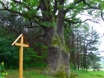 Ślady Powstania Styczniowego na terenie Sulejowskiego Parku Krajobrazowego., 