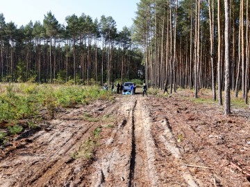 Akcja #SprzątamyDlaPolski X edycja w Przedborzu, 