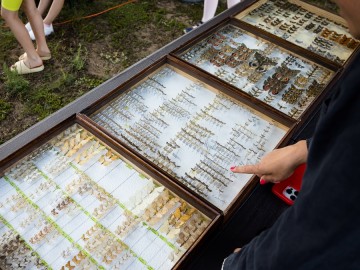 Nocne świecenia - poznaj świat motyli nocnych PPK 2025, 