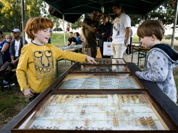 Nocne świecenia - poznaj świat motyli nocnych PPK 2025, 