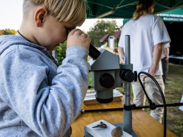 Nocne świecenia - poznaj świat motyli nocnych PPK 2025, 