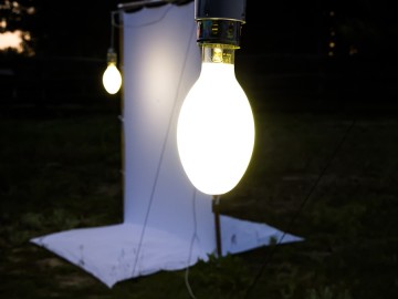 Nocne świecenia - poznaj świat motyli nocnych PPK 2025, 