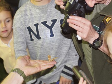 Nocne świecenia - poznaj świat motyli nocnych PPK 2025, 