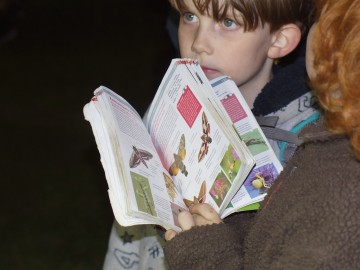 Nocne świecenia - poznaj świat motyli nocnych PPK 2025, 