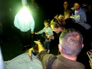 Nocne świecenia - poznaj świat motyli nocnych PPK 2025, 