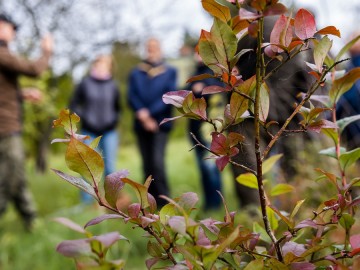 Szkolenie sadownicze w Przedborskim Parku Krajobrazowym 2025, 