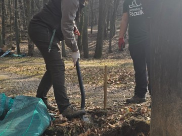 Relacja z montowania bariery herpetologicznej, 