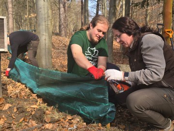 Relacja z montowania bariery herpetologicznej, 