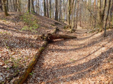 Rezerwat 