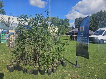 Dożynki Województwa Łódzkiego w Buczku, 