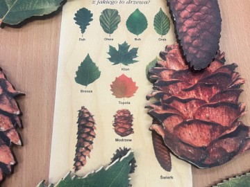 Dzień Drzewa w Burzeninie, 