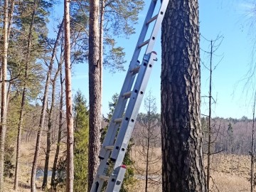 Czyszczenie budek lęgowych w naszych parkach, 