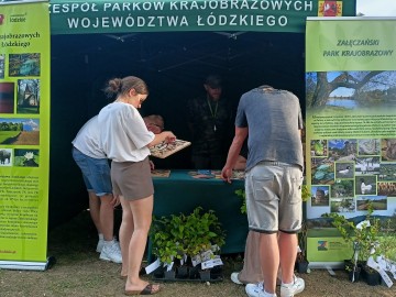 Festiwal smaków i muzyki w Działoszynie, 