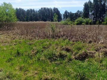 Rozpoznanie uwarunkowań geologicznych w rejonie Żabiego Stawu w ZPK, 