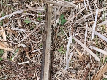 Rozpoznanie uwarunkowań geologicznych w rejonie Żabiego Stawu w ZPK, 