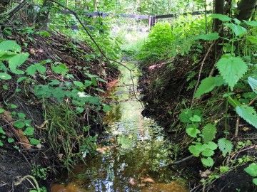 Odnowienie infrastruktury w otoczeniu źródła Niechmirów, 