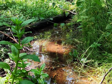 Odnowienie infrastruktury w otoczeniu źródła Niechmirów, 