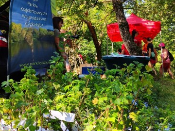 POZNAJ ŁÓDZKIE Z NORDIC WALKING - Strońsko 2025, 