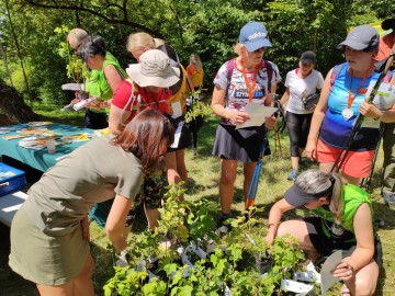POZNAJ ŁÓDZKIE Z NORDIC WALKING - Strońsko 2025, 